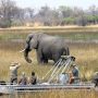 Impressions de Voyage de Camille, Julien et Maud – Safari Auto Tour Namibie,Botswana, Zimbabwe, Juillet 2016 Impressions de Voyage de Camille, Julien et Maud – Safari Auto Tour Namibie,Botswana, Zimbabwe, Juillet 2016