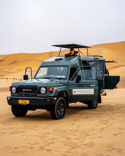 Sur les routes avec Damarana, votre véhicule devient votre poste d’observation itinérant.
Pensés pour le confort sur de longues distances et la stabilité sur les pistes, nos 4x4 offrent l’espace, la hauteur et la visibilité idéales pour profiter du voyage et immortaliser chaque instant. Que vous photographiez la faune, les paysages ou que vous profitiez simplement de la vue, la route fait partie de l’aventure.
#explorenamibia #safarivert #wildlifephotography #travelcomfort #slowtravel