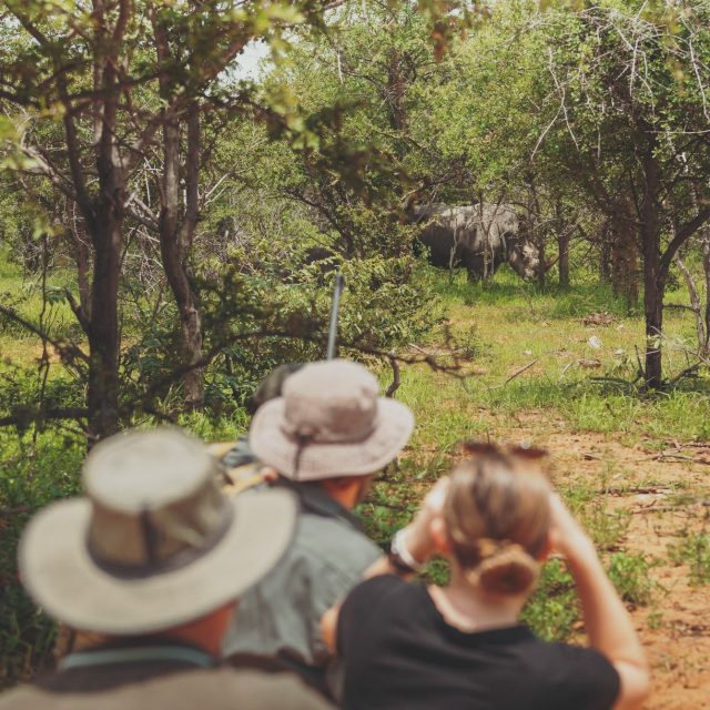 Dans la nature, nous sommes les invités.
Observer sans déranger.
Respecter les distances.
Laisser les lieux aussi beaux qu'à notre arrivée.
Les plus belles rencontres avec la faune sont souvent celles où l'on se fait oublier.
Un safari responsable ne retire rien à l'expérience. Au contraire.
Il permet à chacun — voyageurs comme animaux — de trouver sa juste place.
Crédit Photo : @onguma_safari_camps