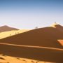 MARS 2020 – Yann & Stéphanie
