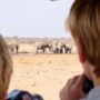 JUILLET 2021 – François et sa petite famille JUILLET 2021 – François et sa petite famille