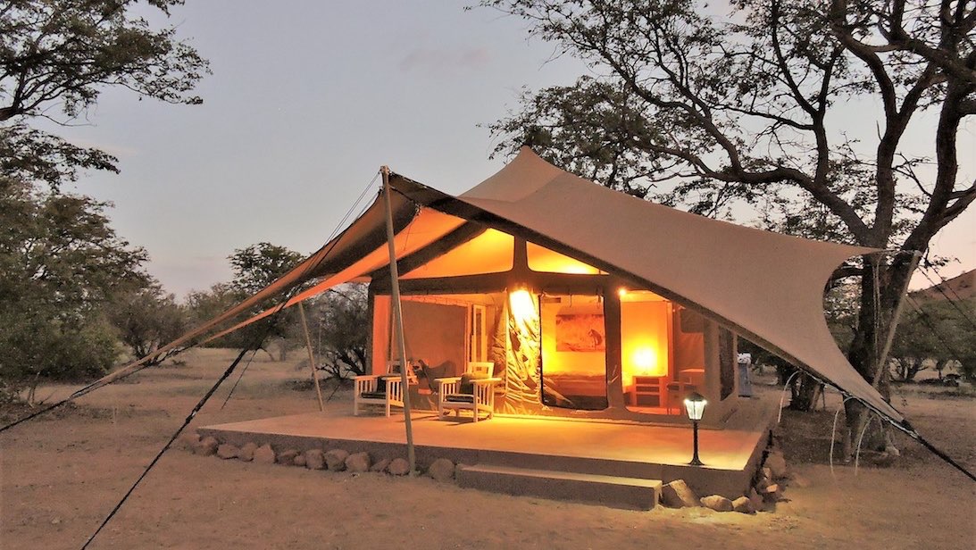 damarana safaris avis