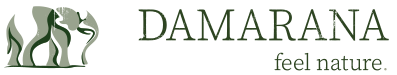Dam_logo