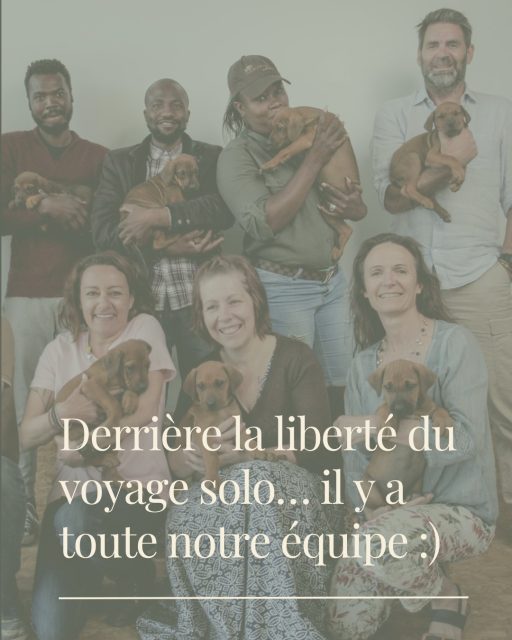 Damarana Safaris, votre expert local en Namibie.
Envie de vivre votre aventure en solo, accompagné en toute sérénité ?
Écrivez-nous à info@damarana.com
Découvrez aussi notre format en petit groupe :
le co-voyage → damarana.com/voyage/co-voyage