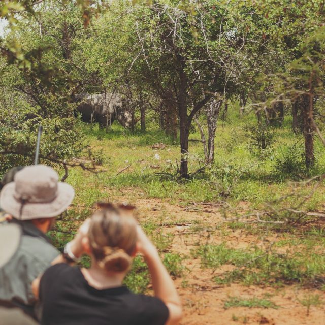 Chez Damarana, nous ne construisons pas simplement un itinéraire.
Nous cherchons à comprendre ce que vous venez chercher.
Un voyage de noces. Des retrouvailles.
Un moment à deux qui compte vraiment.
Alors, nous prenons le temps de vous écouter, de ressentir, de proposer ce qui vous ressemble.
Nous choisissons les bons lieux. Le bon rythme.
Ensemble, nous co-créons avec vous un voyage sincère, pensé pour vous deux. 
Ecrivez-nous à info@damarana.com