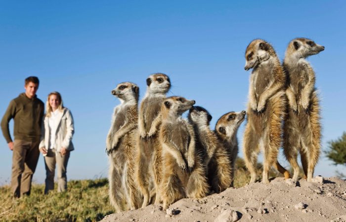 Namibie du Sud : Terre du bout du monde