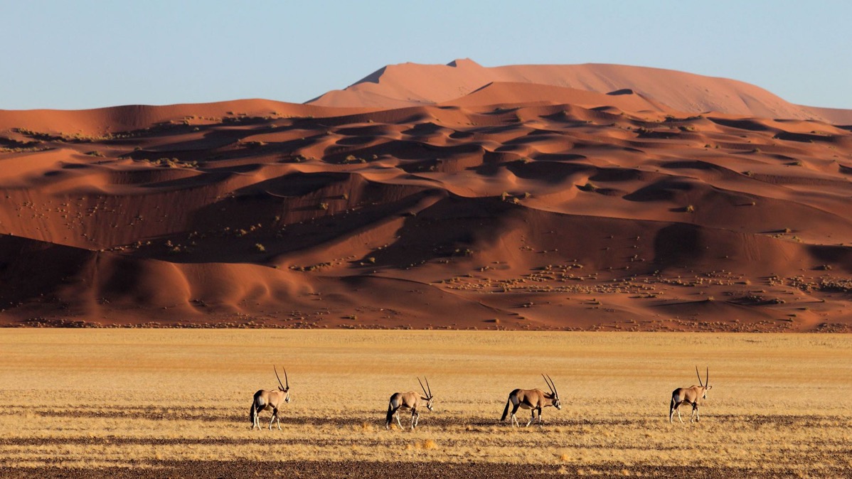 Catherine, Alain, Emmanuelle & Olivier