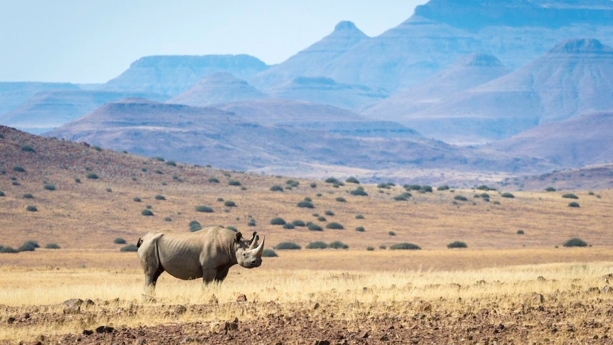 Daniel, Colette, Stéphane & Sylvie