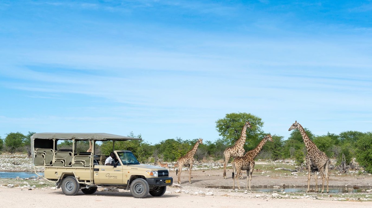Renaud, Theo, Zoe & Laura