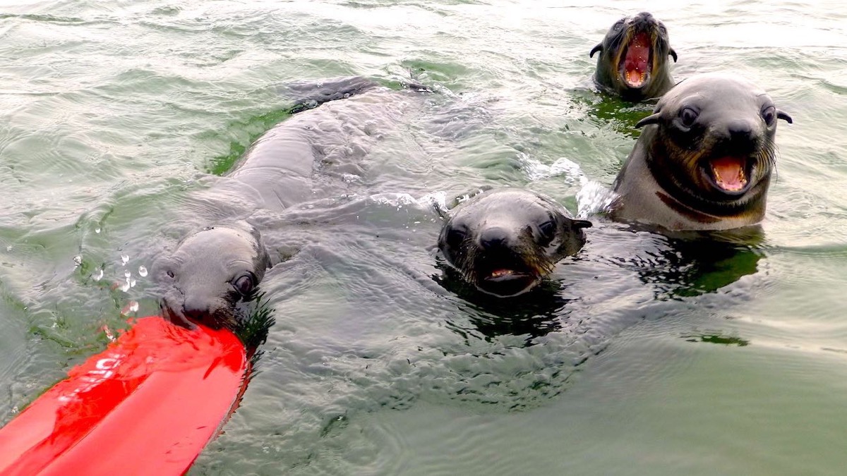 Arnaud, Carole, Thibault & Mathilde