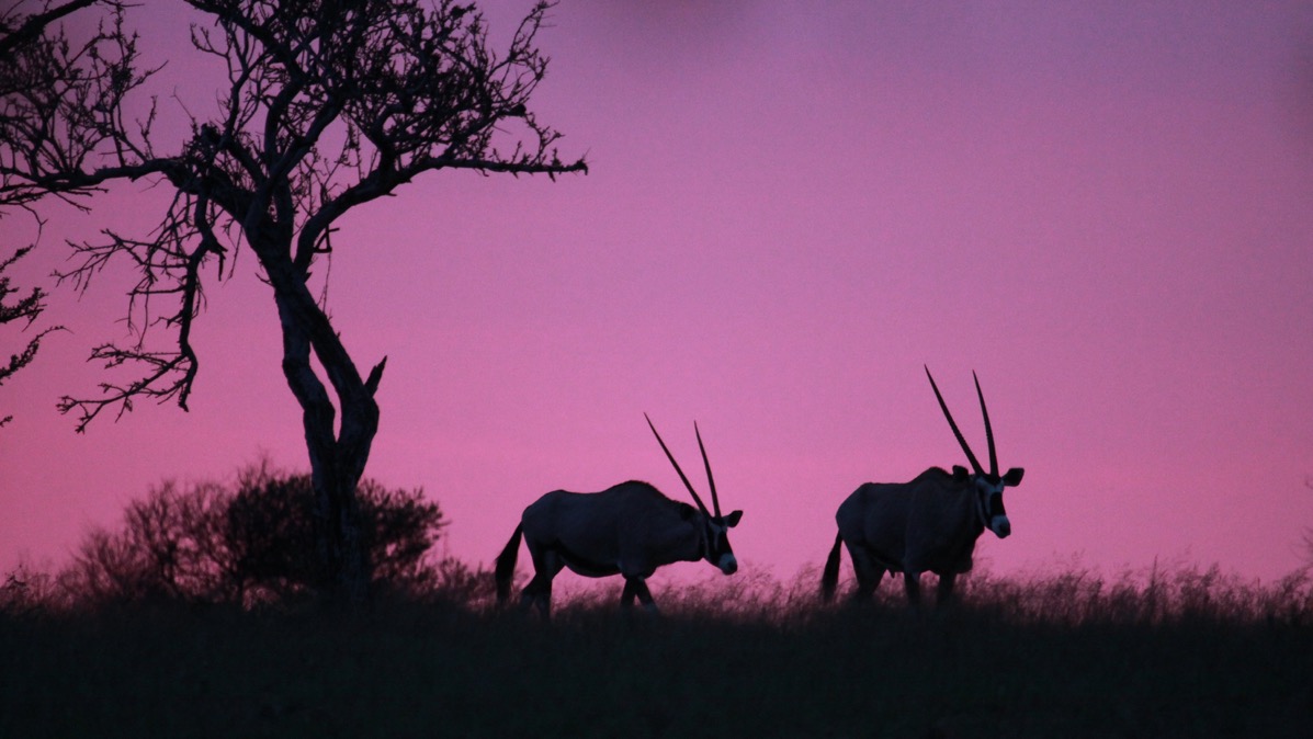 Aurélie & sa famille