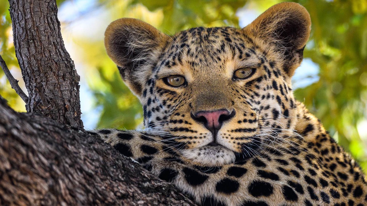 Marc, Sandie, Charlotte & Victor