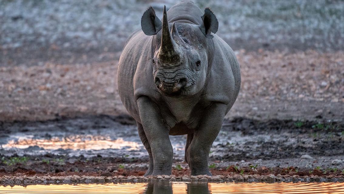 Marie Laure, Didier, Aresse & Fanny