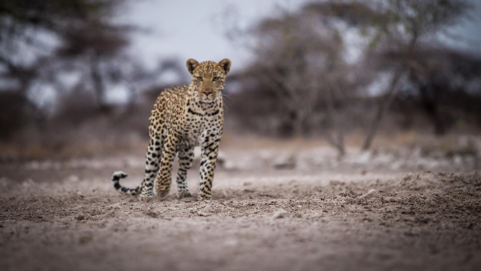 Michel, Emilie & Caroline