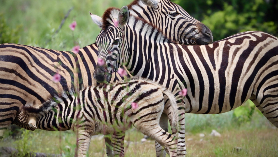 Pascale, Marc et Jacques