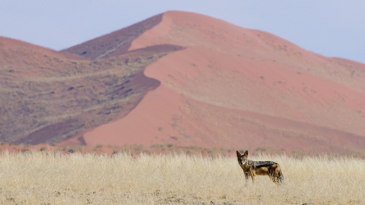 Rachel, Eloise, Antonin, Maguy, Mariette, Alix, Boris & Lily Rose