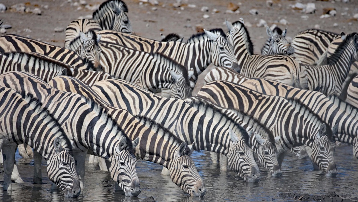 Raphaël & sa famille
