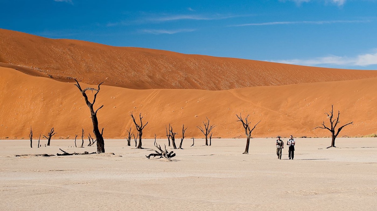 Sylviane et ses amis