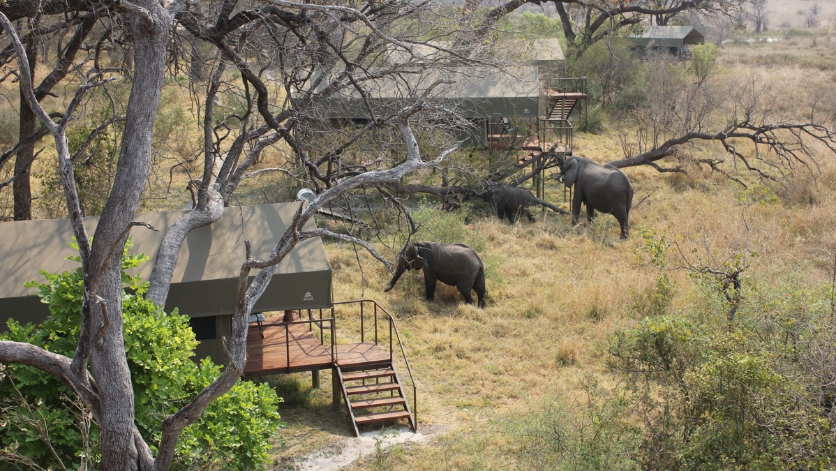 Yvon, Stéphanie & leurs amis