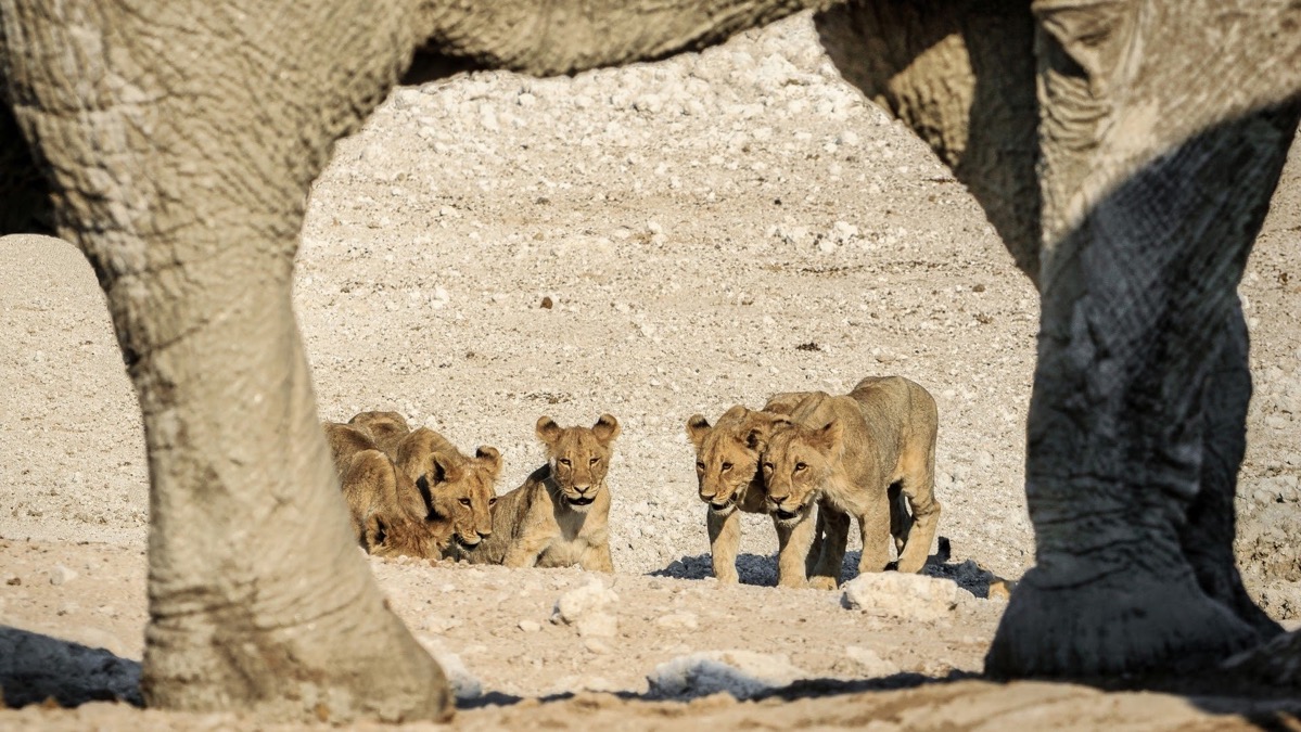 Astride, Jean-Pierre, Laurence, Roger, Hélène & Sylvie